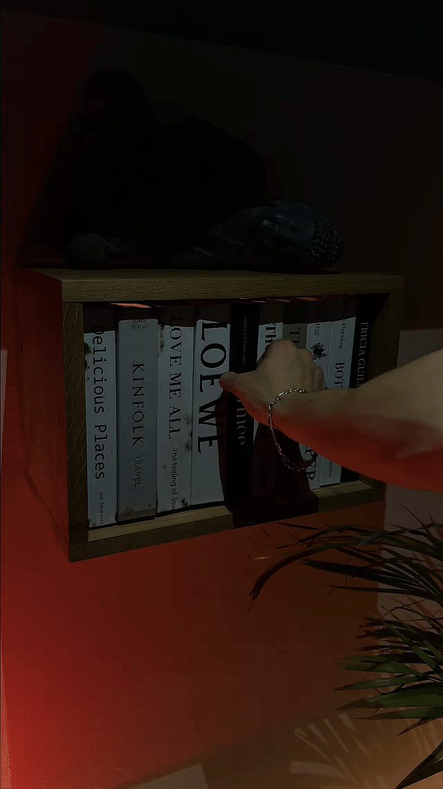 HausVersteck™ Bookshelf with secret compartment