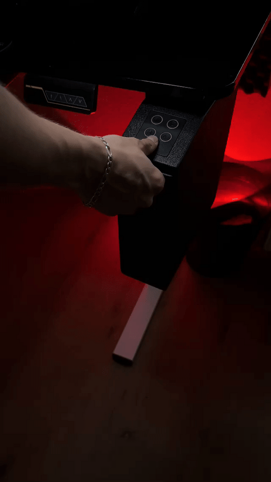 HausVersteck™ Biometric Safe